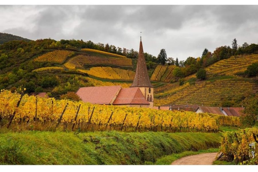 Niedermorschwihr